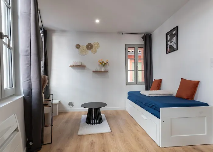 Apartman Le Crampel - Calme & Lumineux Toulouse